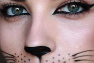 cat-nose-makeup-step-by-step-76_6 Cat nose make-up stap voor stap