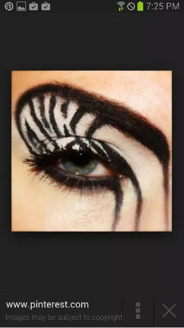 zebra-eye-makeup-04_13-5 Zebra oog make-up