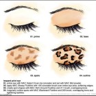 Cheetah oog make-up les
