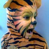 Kids tiger make-up les
